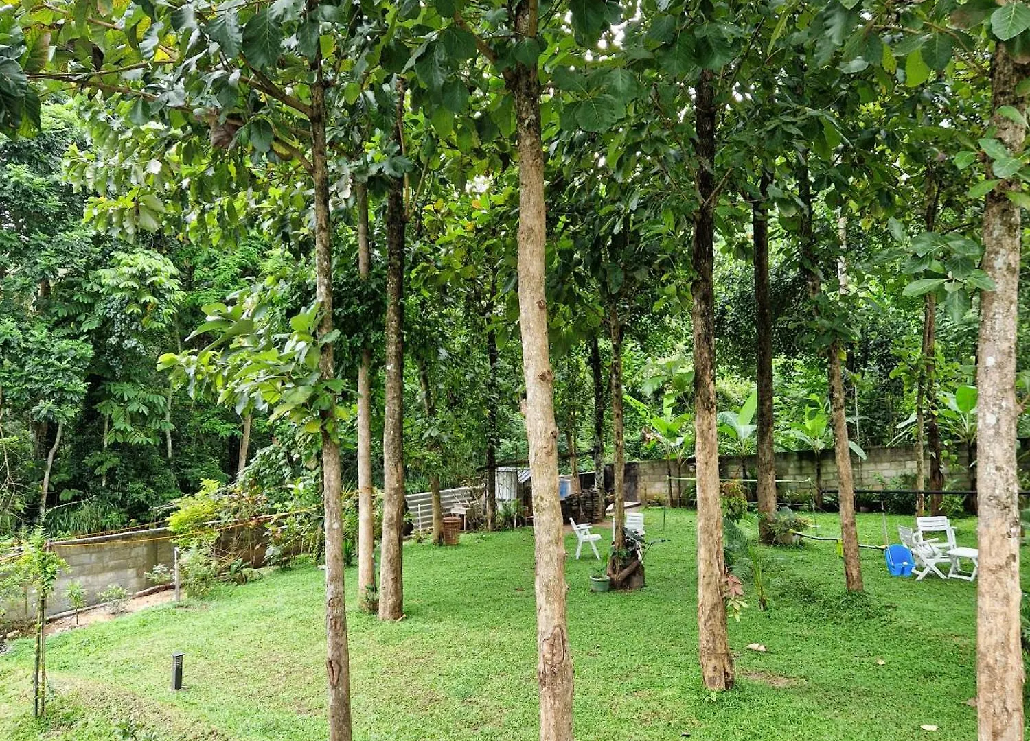Villa Sole Kandy